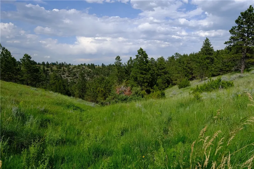 143 Owl Canyon Road Reed Point MT 59069