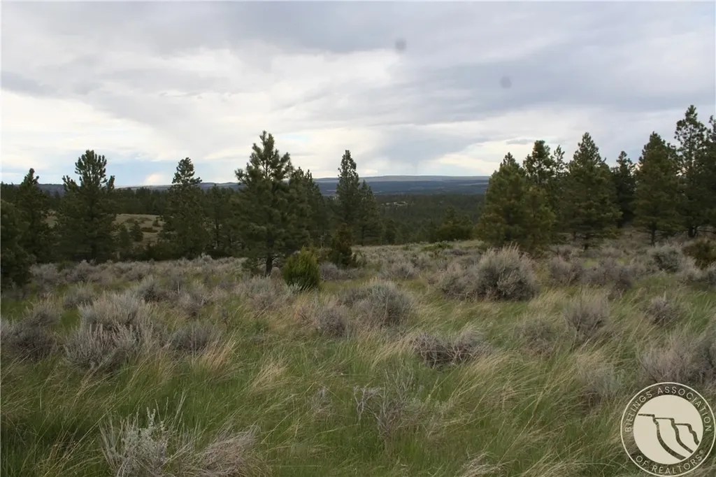 Lot 69 Jacobs Hill Road Reed Point MT 59069