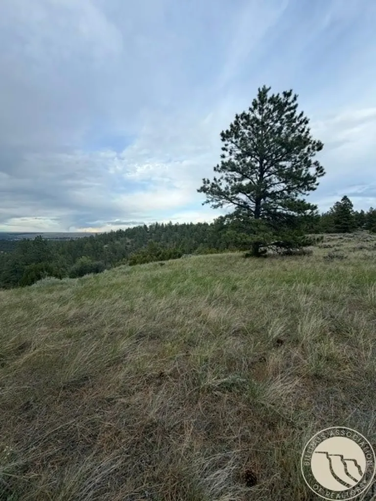 Lot 69 Jacobs Hill Road Reed Point MT 59069