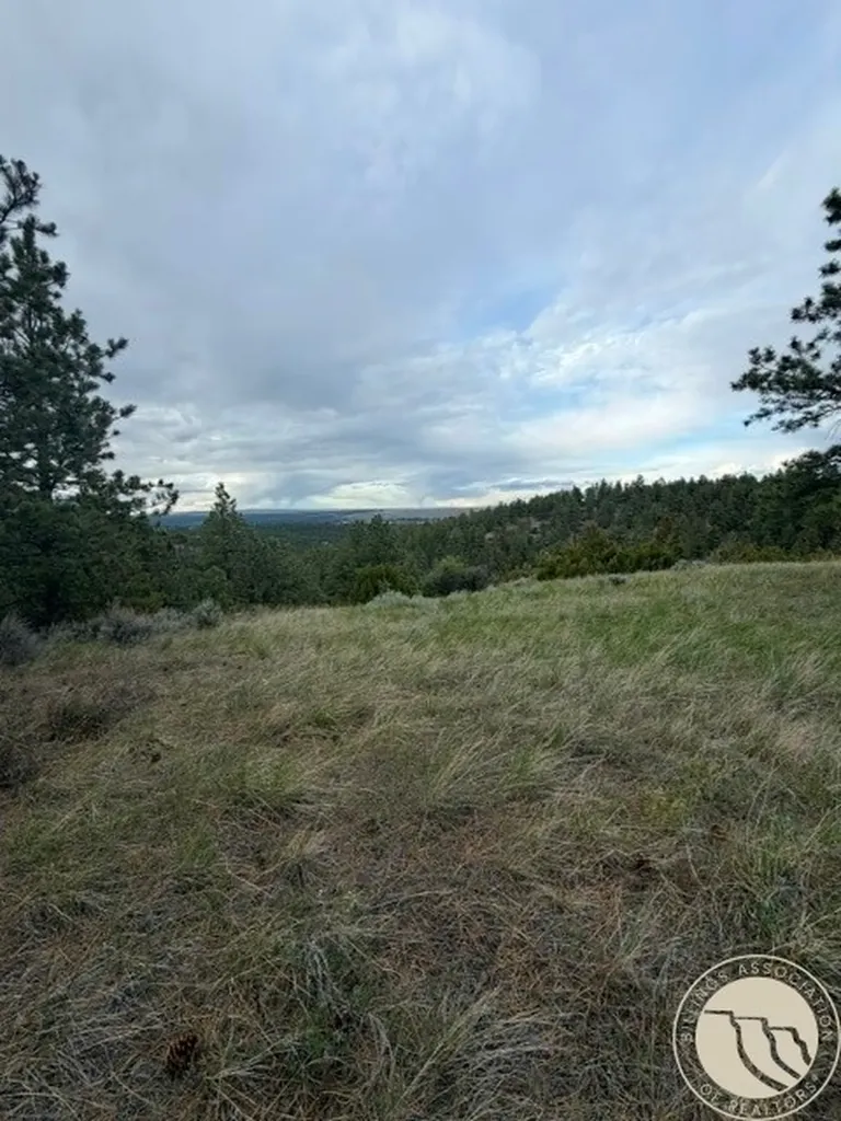 Lot 69 Jacobs Hill Road Reed Point MT 59069