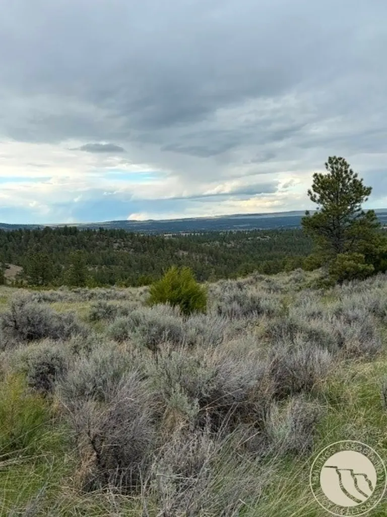 Lot 69 Jacobs Hill Road Reed Point MT 59069