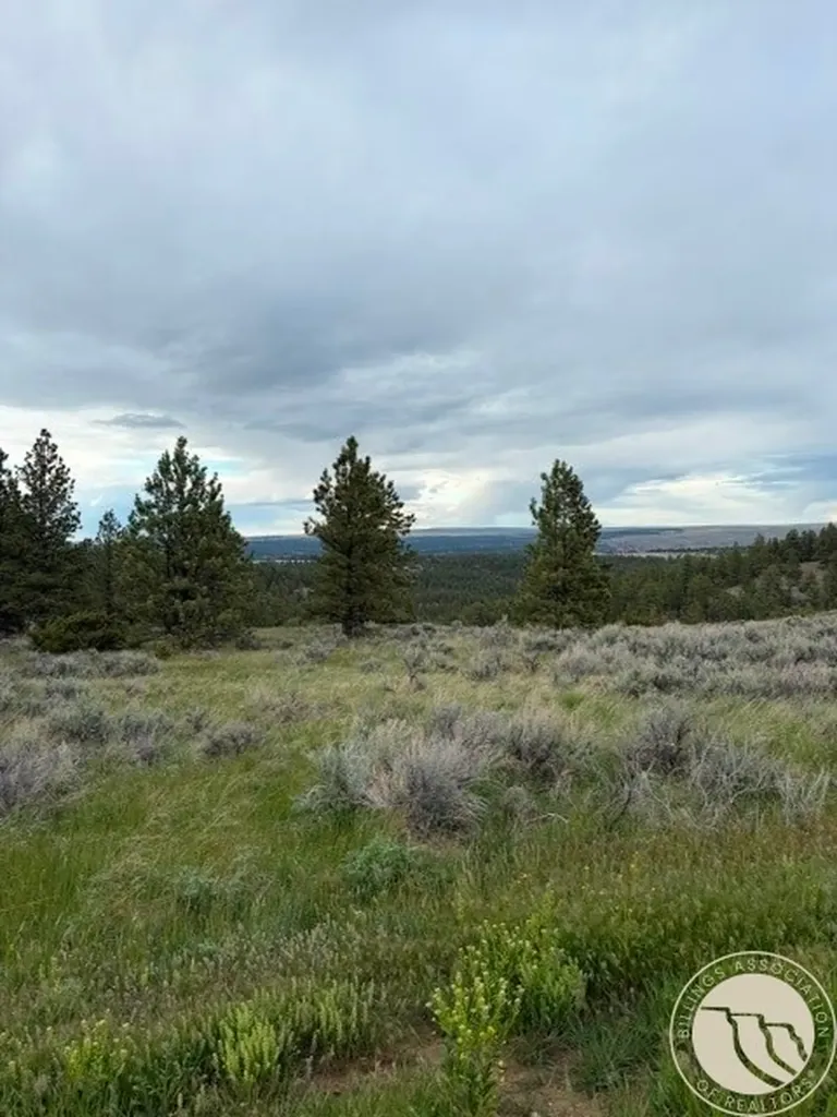 Lot 69 Jacobs Hill Road Reed Point MT 59069