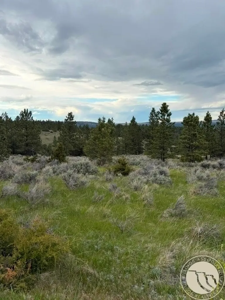 Lot 69 Jacobs Hill Road Reed Point MT 59069