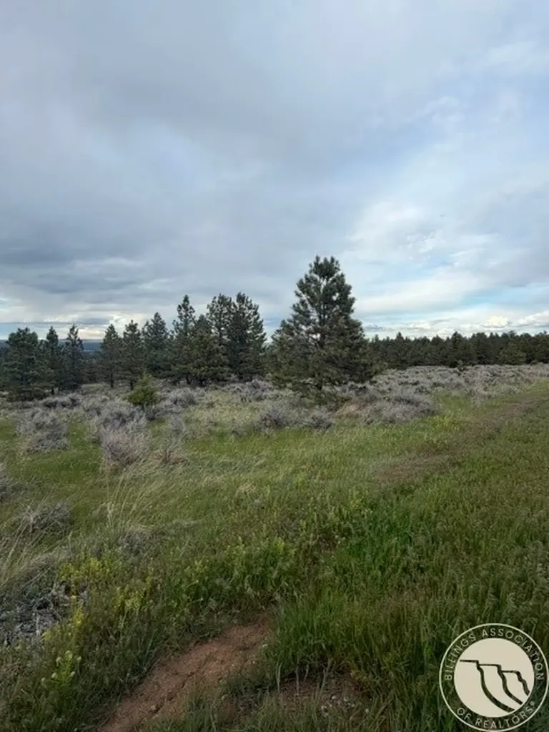 Lot 69 Jacobs Hill Road Reed Point MT 59069