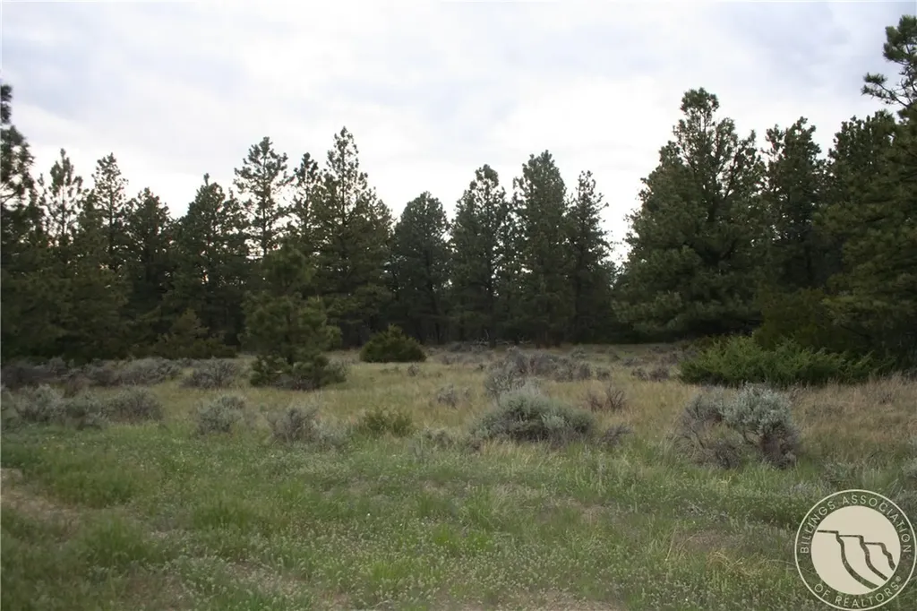 Lot 69 Jacobs Hill Road Reed Point MT 59069