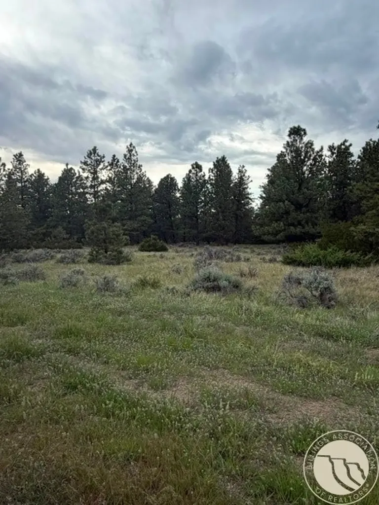 Lot 69 Jacobs Hill Road Reed Point MT 59069