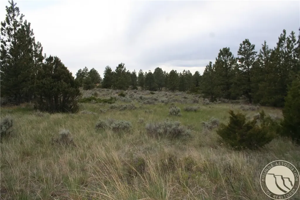 Lot 69 Jacobs Hill Road Reed Point MT 59069