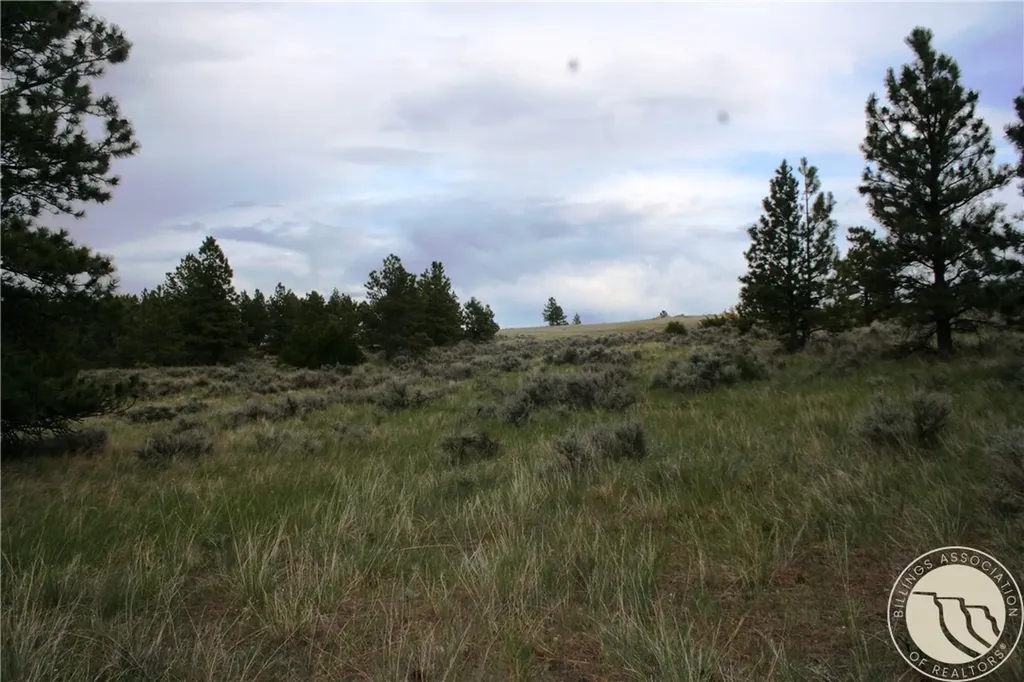 Lot 69 Jacobs Hill Road Reed Point MT 59069