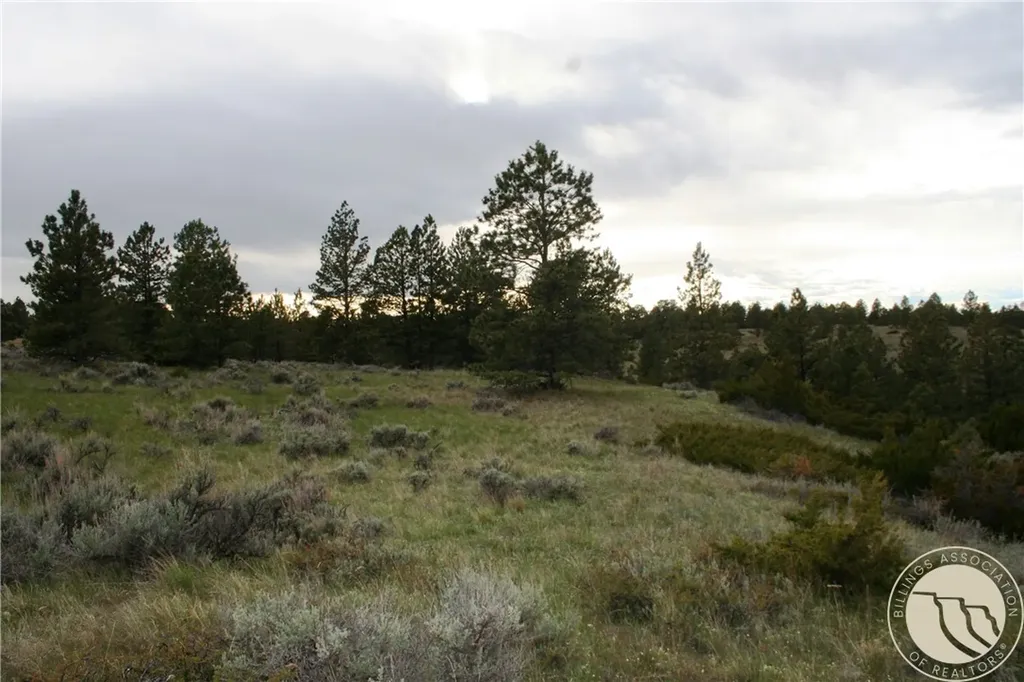 Lot 69 Jacobs Hill Road Reed Point MT 59069