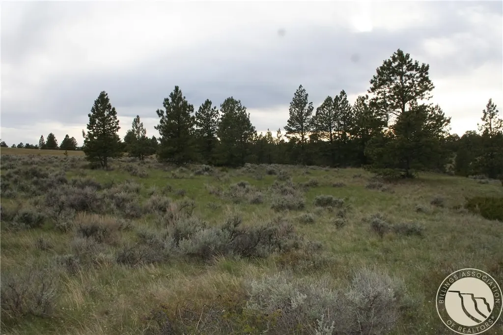 Lot 69 Jacobs Hill Road Reed Point MT 59069