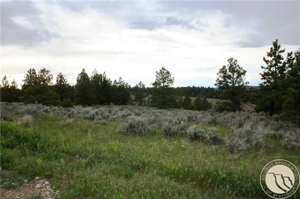 Lot 69 Jacobs Hill Road Reed Point MT 59069