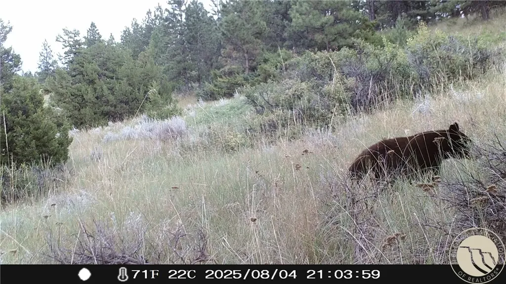 Lot 69 Jacobs Hill Road Reed Point MT 59069