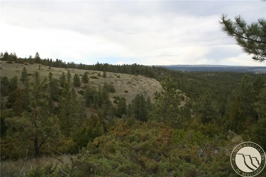 Lot 69 Jacobs Hill Road Reed Point MT 59069