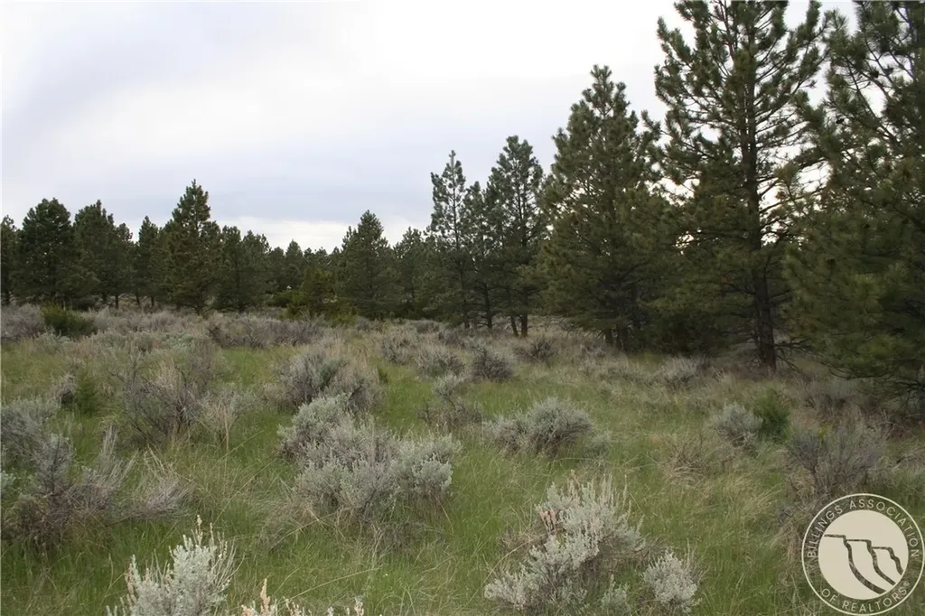 Lot 69 Jacobs Hill Road Reed Point MT 59069