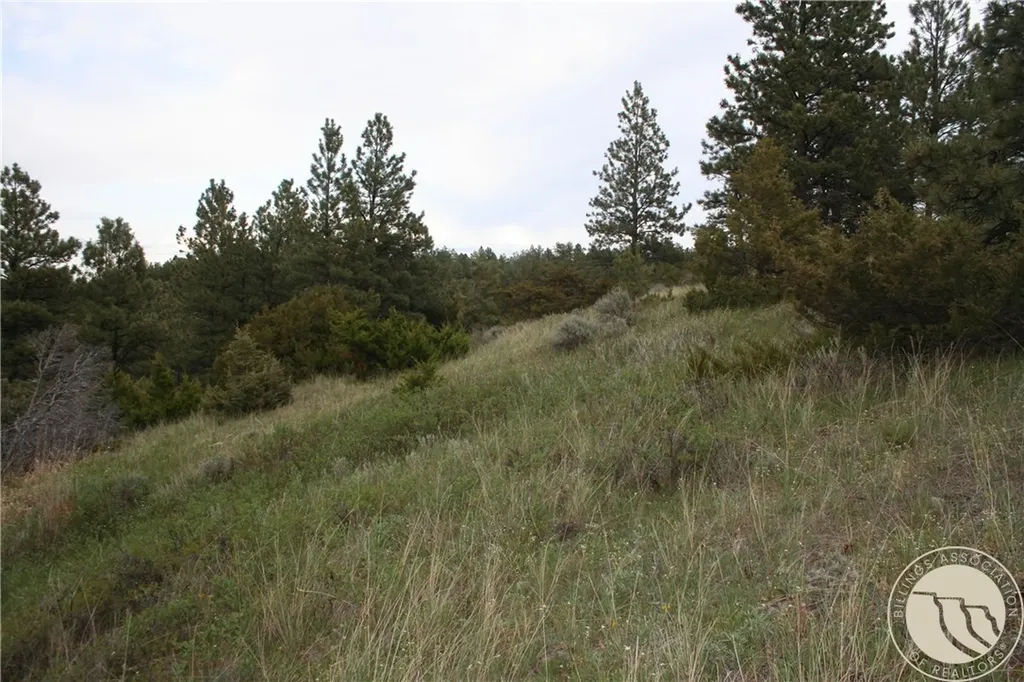 Lot 69 Jacobs Hill Road Reed Point MT 59069