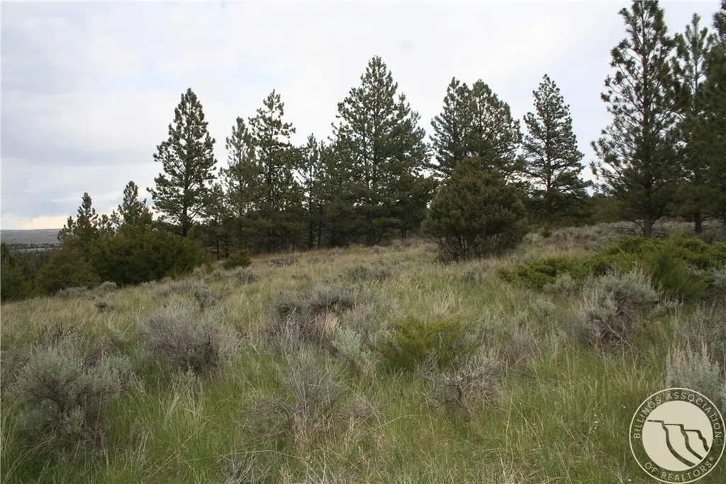 Lot 69 Jacobs Hill Road Reed Point MT 59069