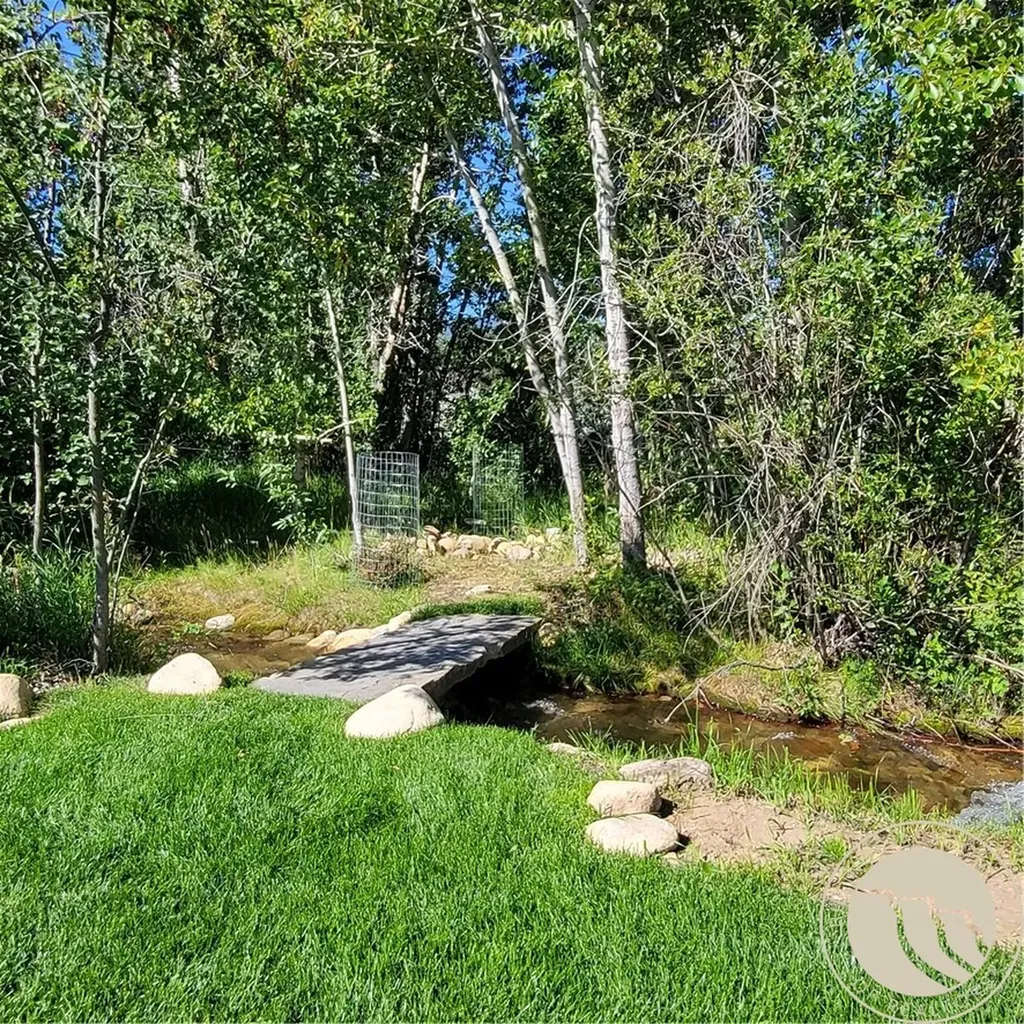 2435 Diamond C Trail Red Lodge MT 59068