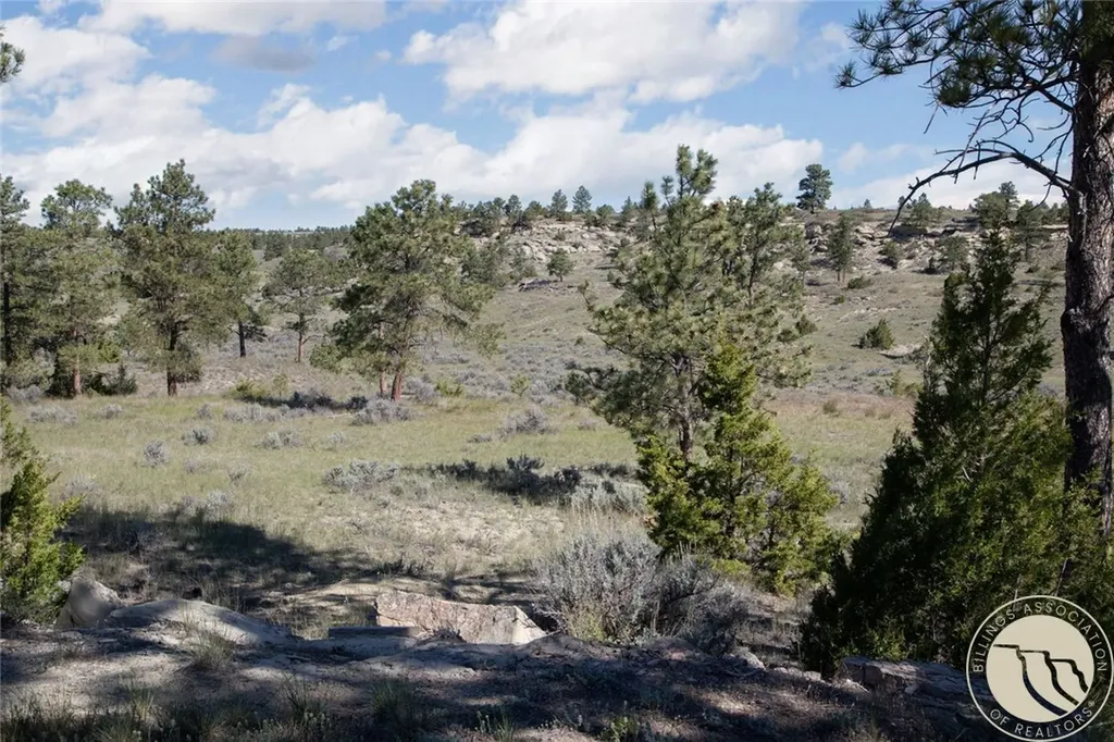 1205 Stonehouse Road Shepherd MT 59079