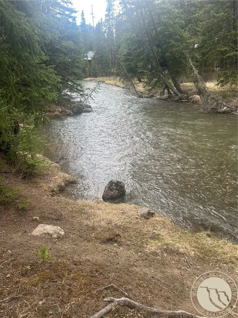 7 Grizzly Bear Road Cooke City MT 59081