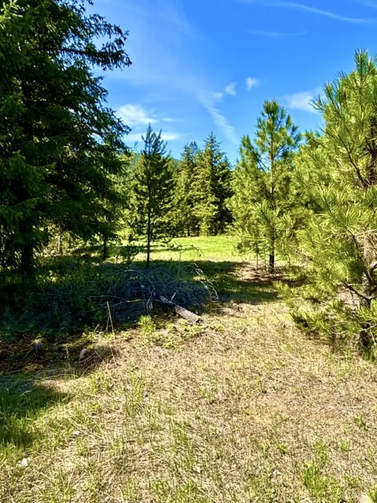 Lot 7 Fairview Drive Other MT 59866