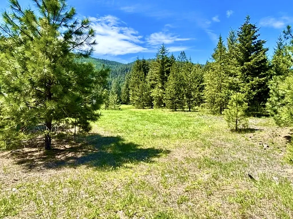 Lot 7 Fairview Drive Other MT 59866