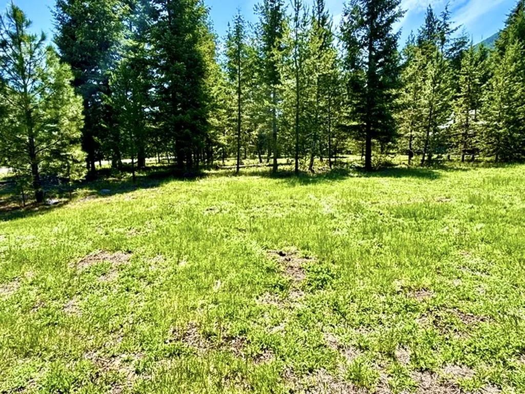 Lot 7 Fairview Drive Other MT 59866