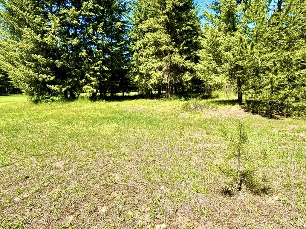 Lot 7 Fairview Drive Other MT 59866