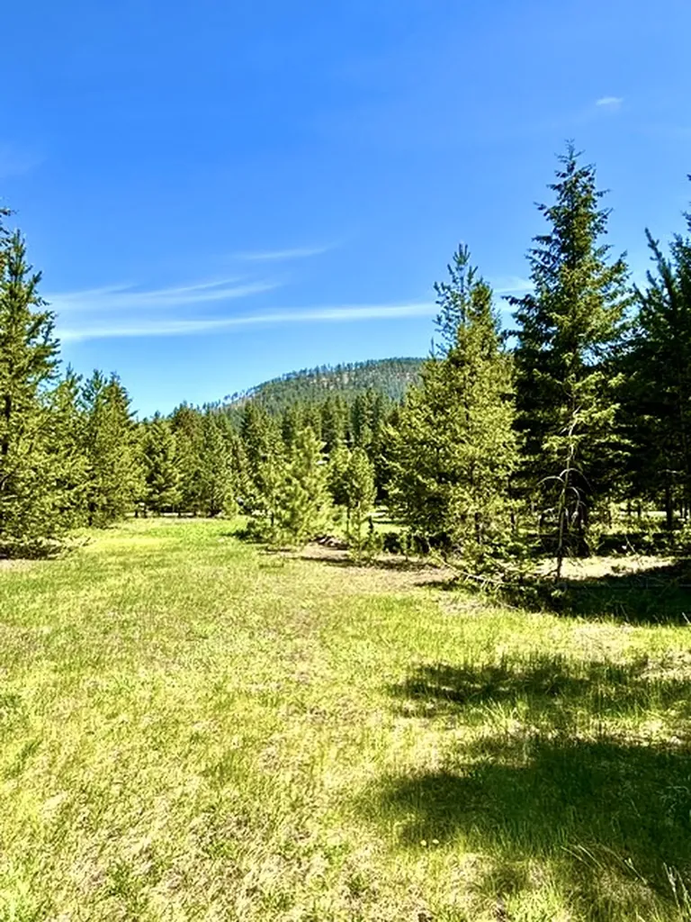 Lot 7 Fairview Drive Other MT 59866