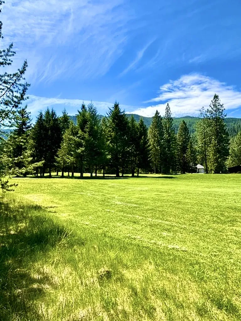 Lot 7 Fairview Drive Other MT 59866