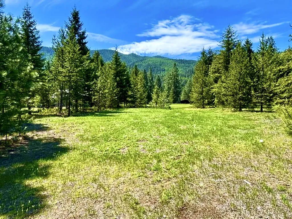 Lot 7 Fairview Drive Other MT 59866