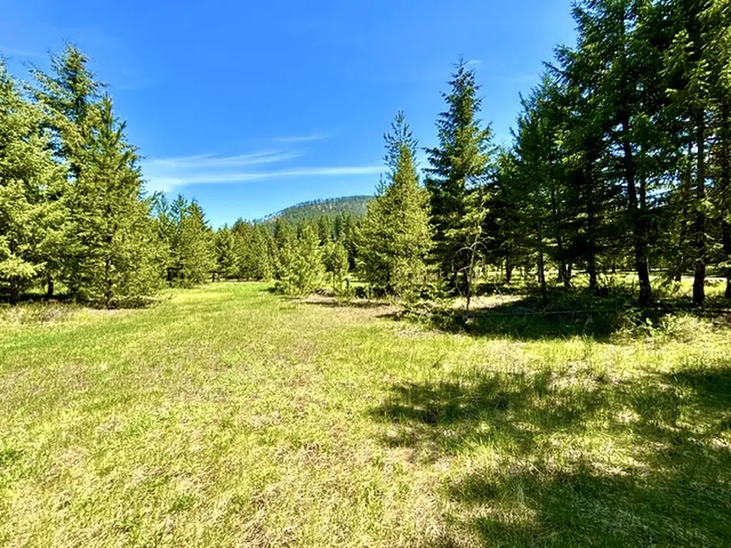 Lot 7 Fairview Drive Other MT 59866