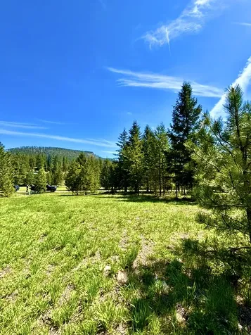 Lot 7 Fairview Drive Other MT 59866