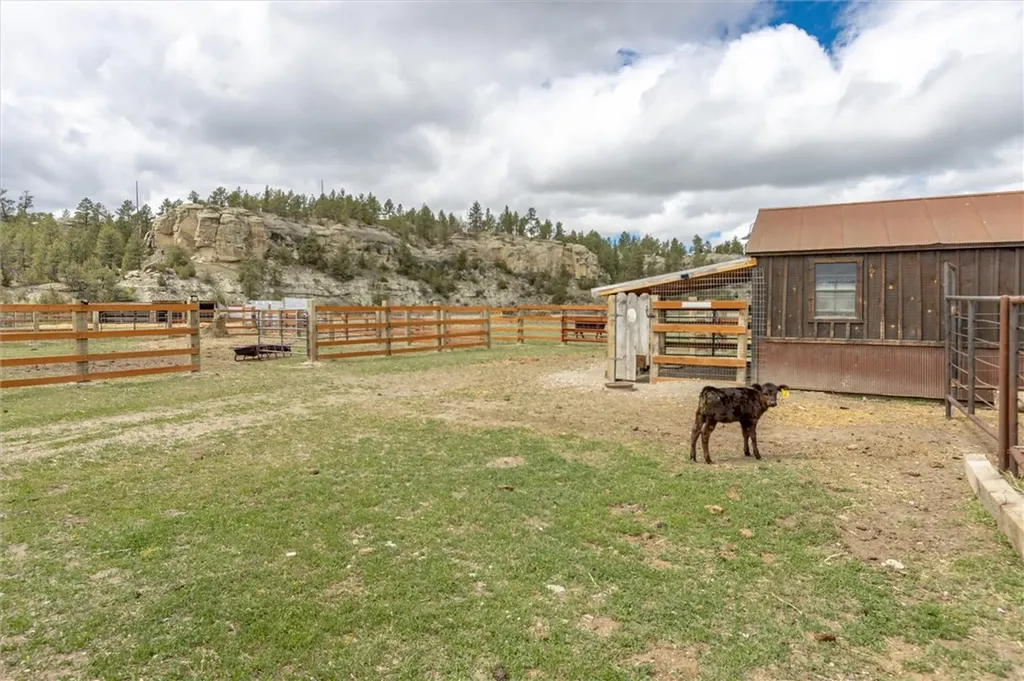16643 Us Highway 12 W Roundup MT 59072