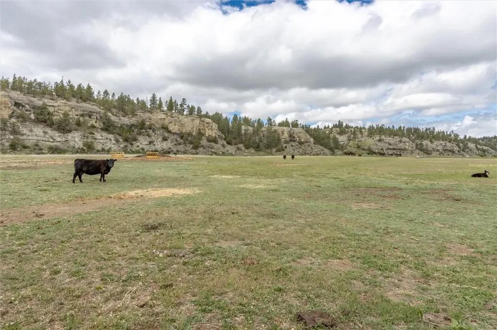16643 Us Highway 12 W Roundup MT 59072