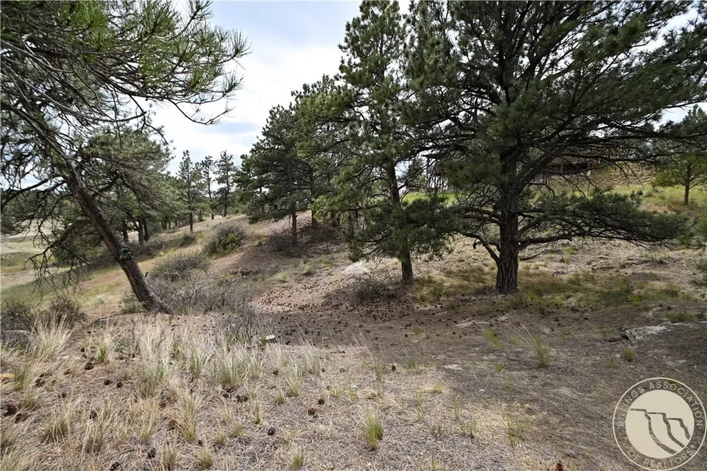 5750 Pleasant Hollow Trail Shepherd MT 59079