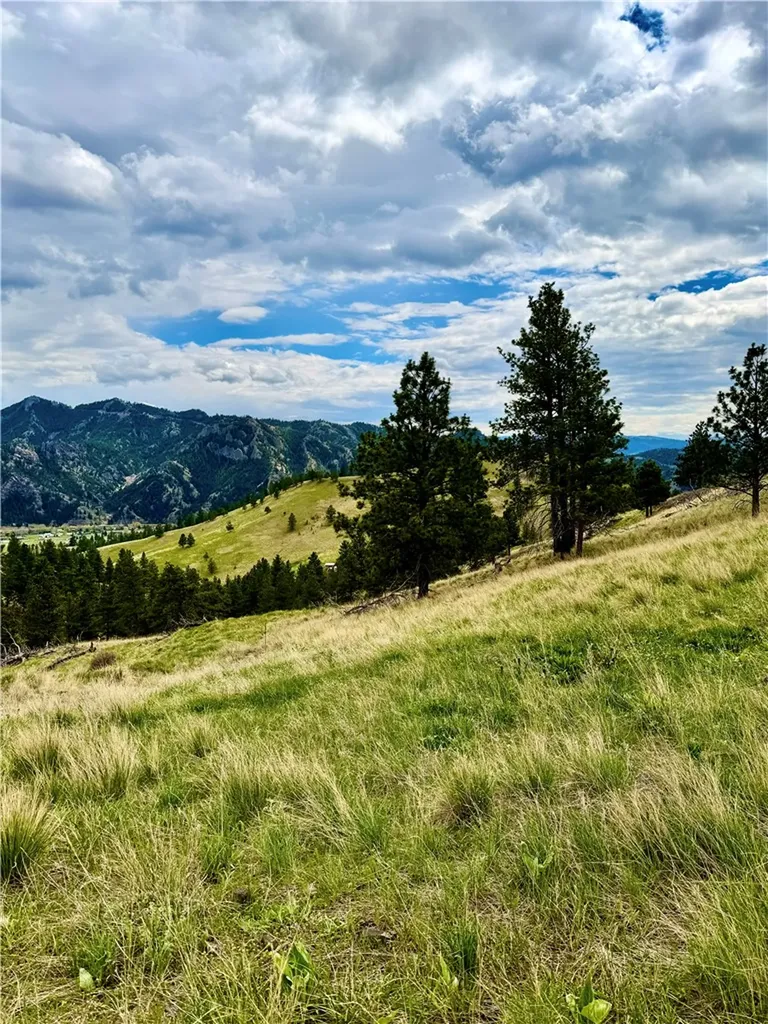 120 Big Pine Lane Other MT 59421