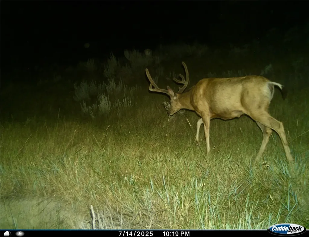 00 Rosebud Creek Road Forsyth MT 59327