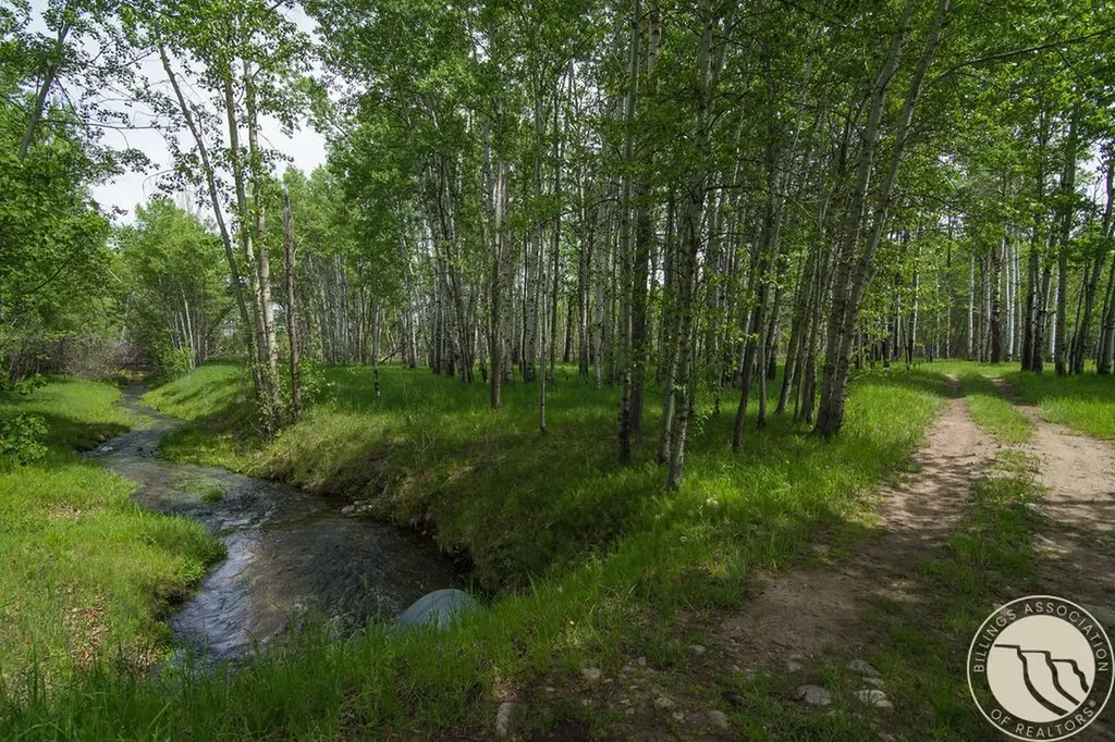 37 Powder River Lane Red Lodge MT 59068