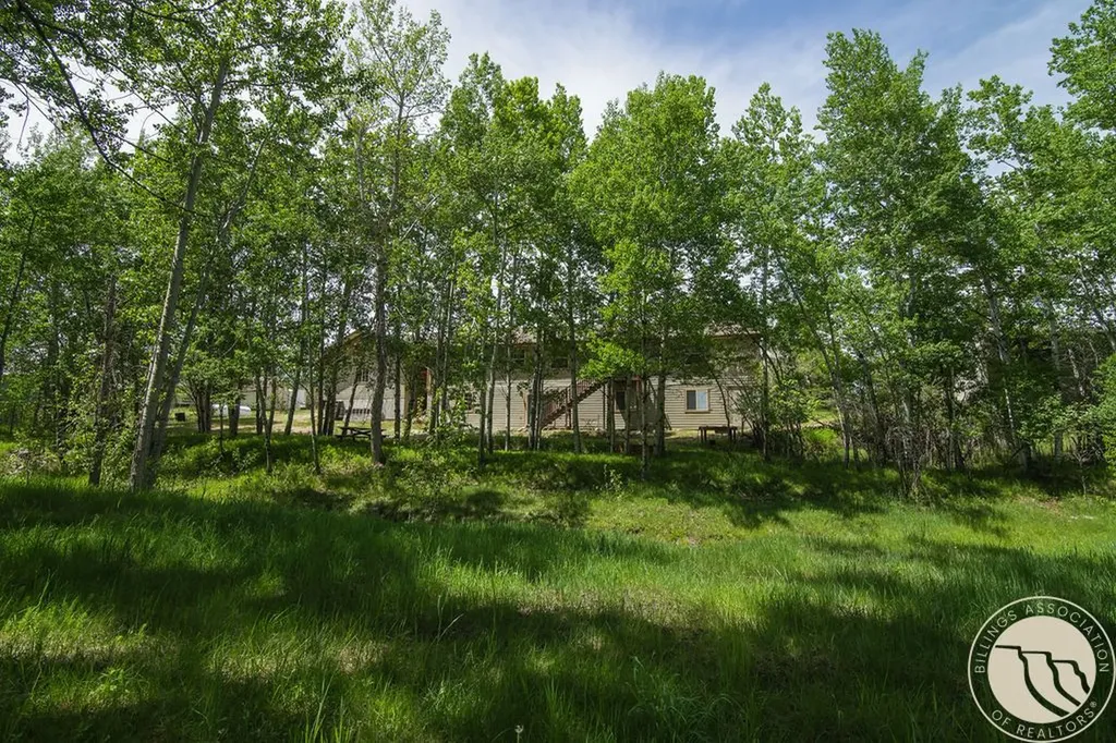37 Powder River Lane Red Lodge MT 59068