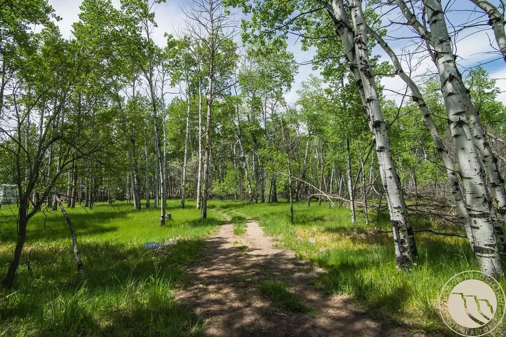 37 Powder River Lane Red Lodge MT 59068