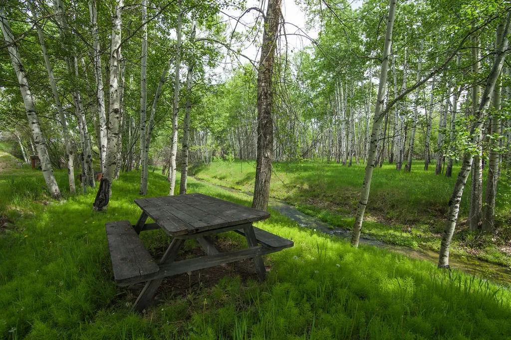 37 Powder River Lane Red Lodge MT 59068