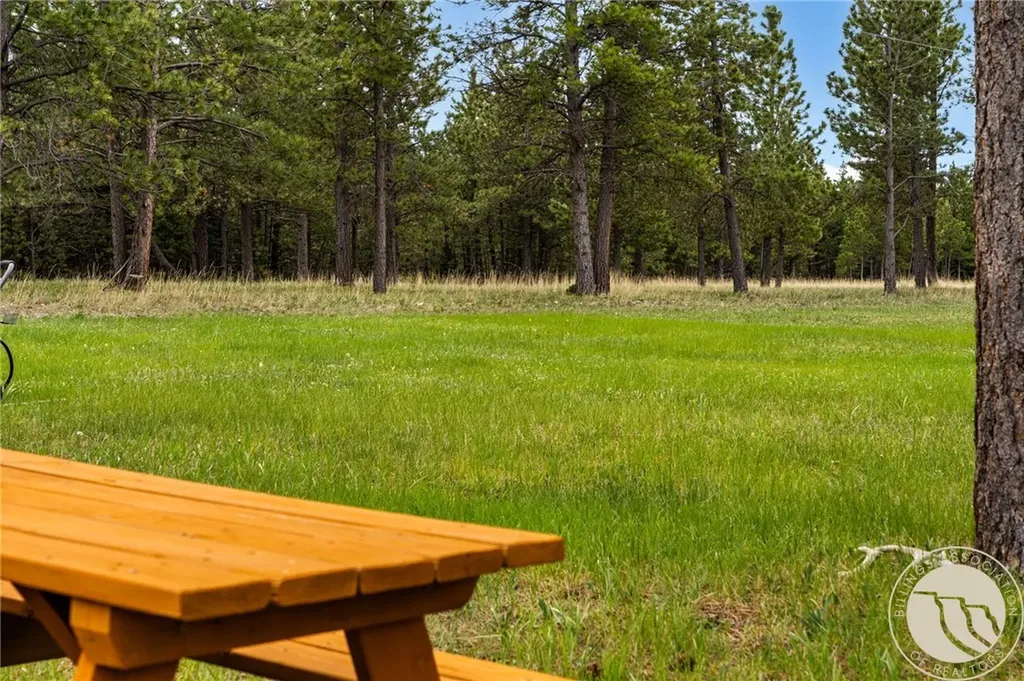 125 Golden Bear Lane Other MT 59453