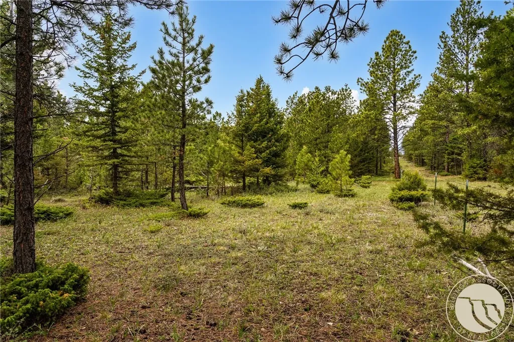 125 Golden Bear Lane Other MT 59453