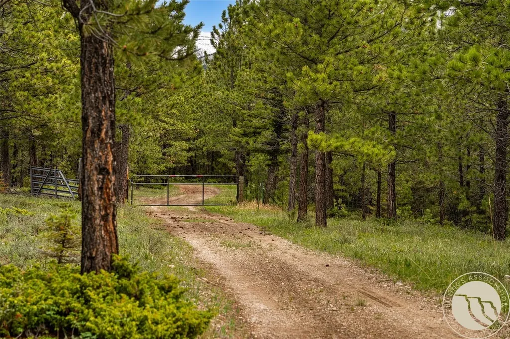 125 Golden Bear Lane Other MT 59453