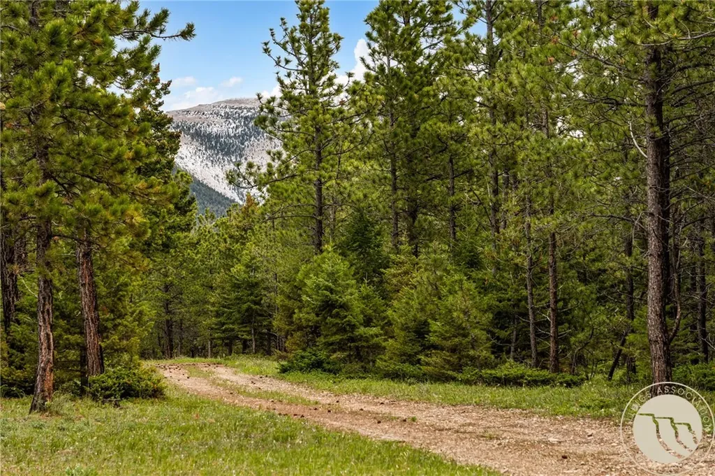 125 Golden Bear Lane Other MT 59453