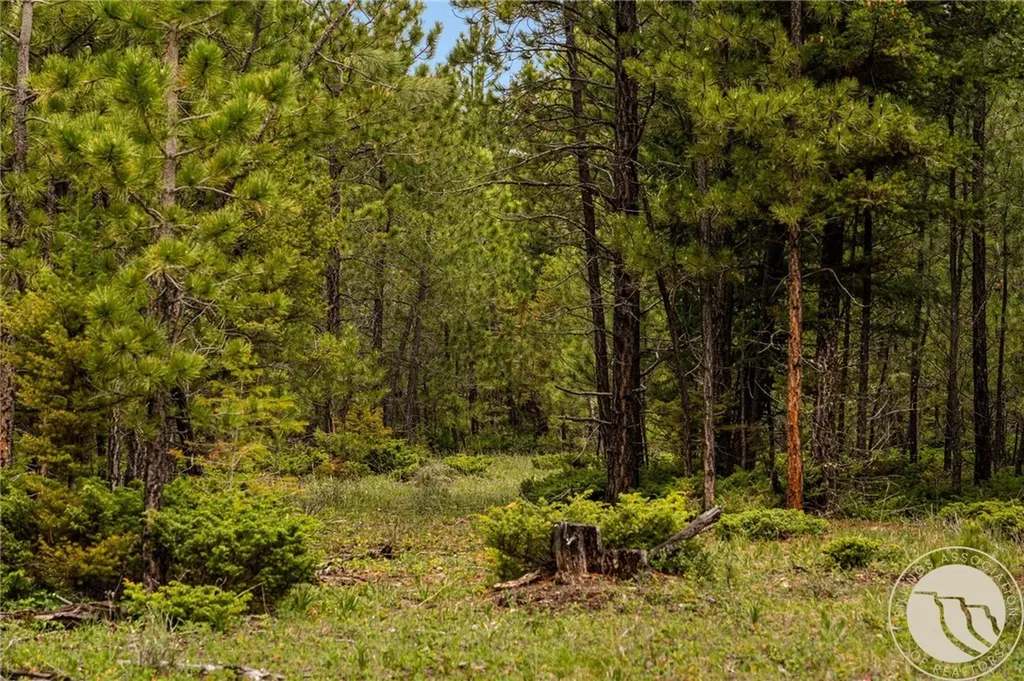125 Golden Bear Lane Other MT 59453