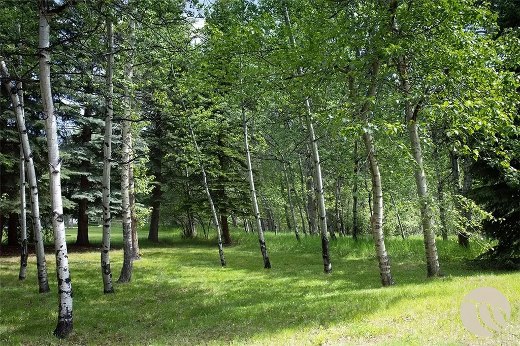 940 Park Avenue S Red Lodge MT 59068