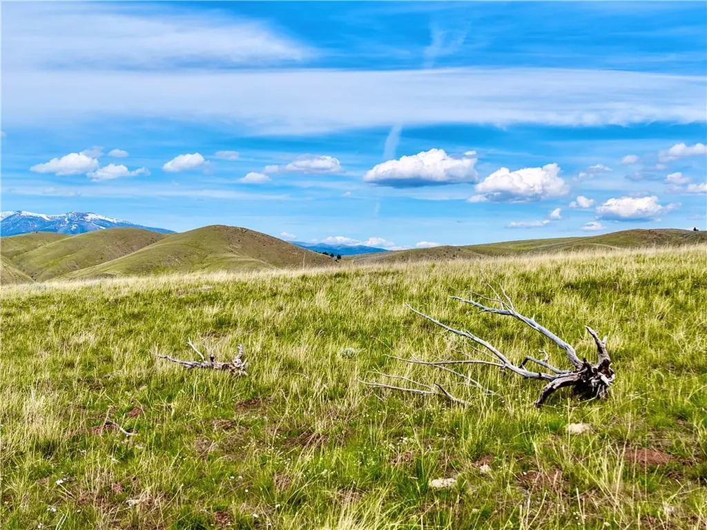 0 Ridge Road Other MT 59644