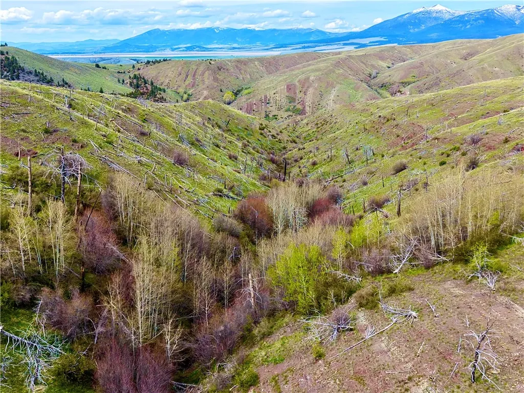 0 Ridge Road Other MT 59644