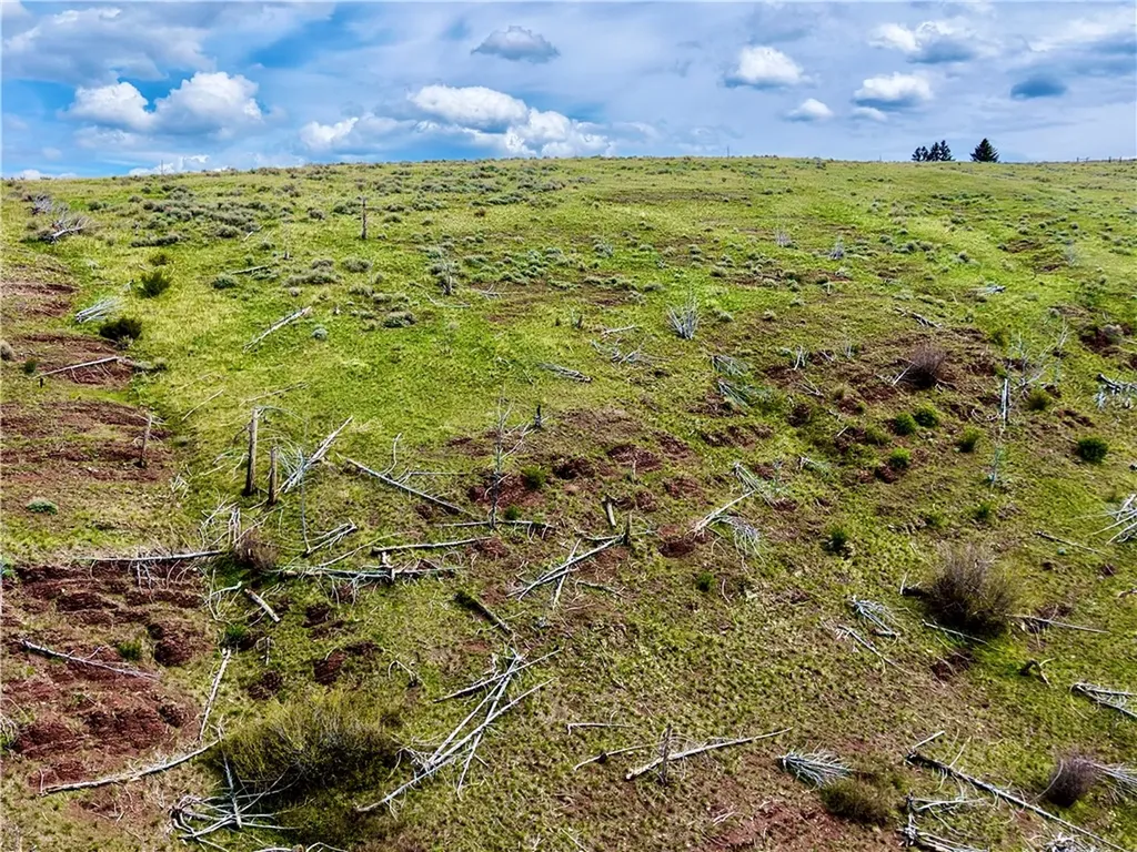 0 Ridge Road Other MT 59644